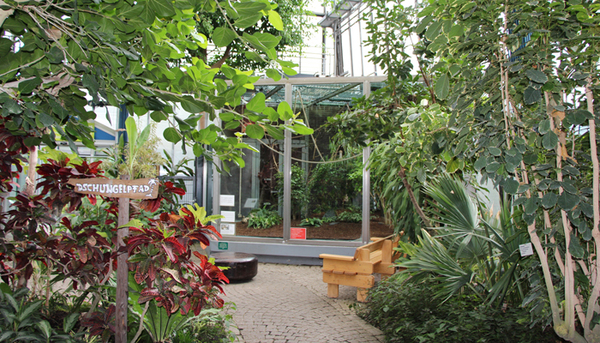 size3_FdLP_Pflanzenschauhaus_02