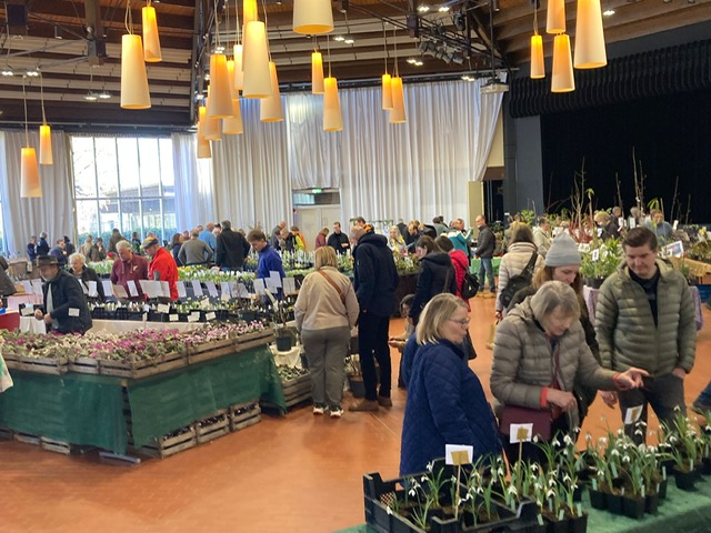 Angebot-2026-03-01-16-00-14