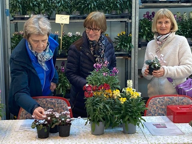 PHOTO-2026-03-01-16-00-15