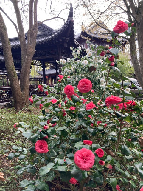 PHOTO-2026-03-17-15-07-46